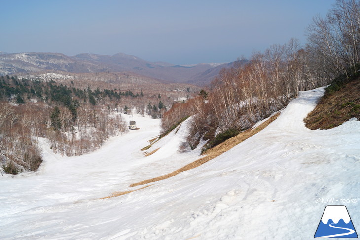 サッポロテイネ 現在積雪 215cm。山麓まで思いっきり滑れます！